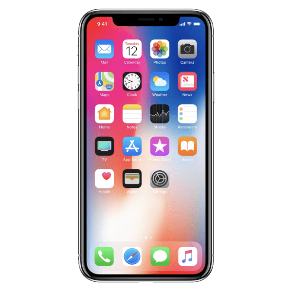 iPhone X